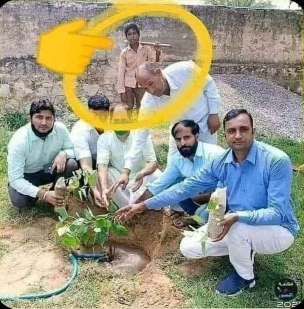 الذي عرس الشجرة يقف في الخلف .. 
 و المتسلقين والانتهازيين في المقدمة ..
ويدعون انهم أصحاب الإنجاز .. 
هذا ما نعيشه اليوم بالضبط