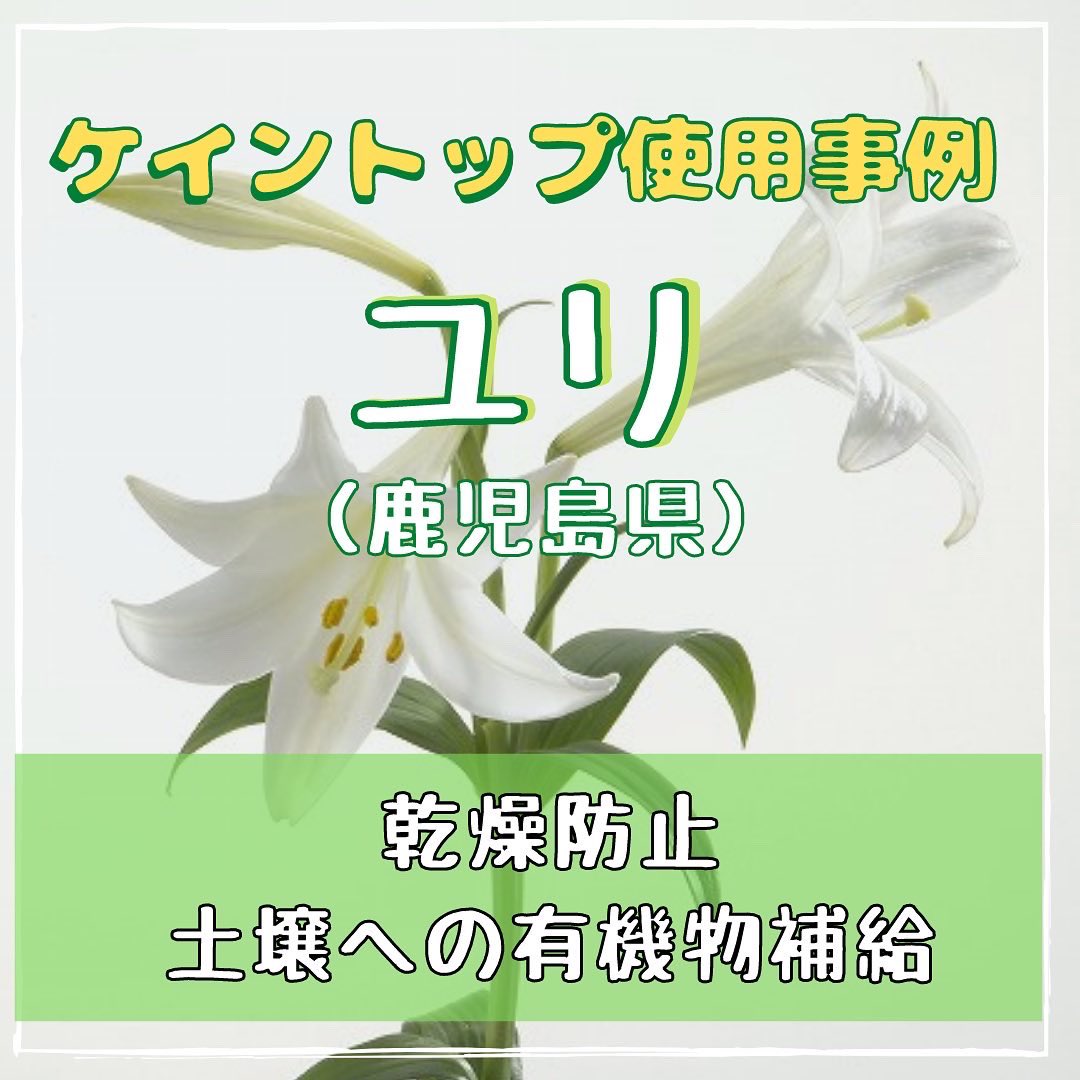 アグリック株式会社 Agrictrading Twitter