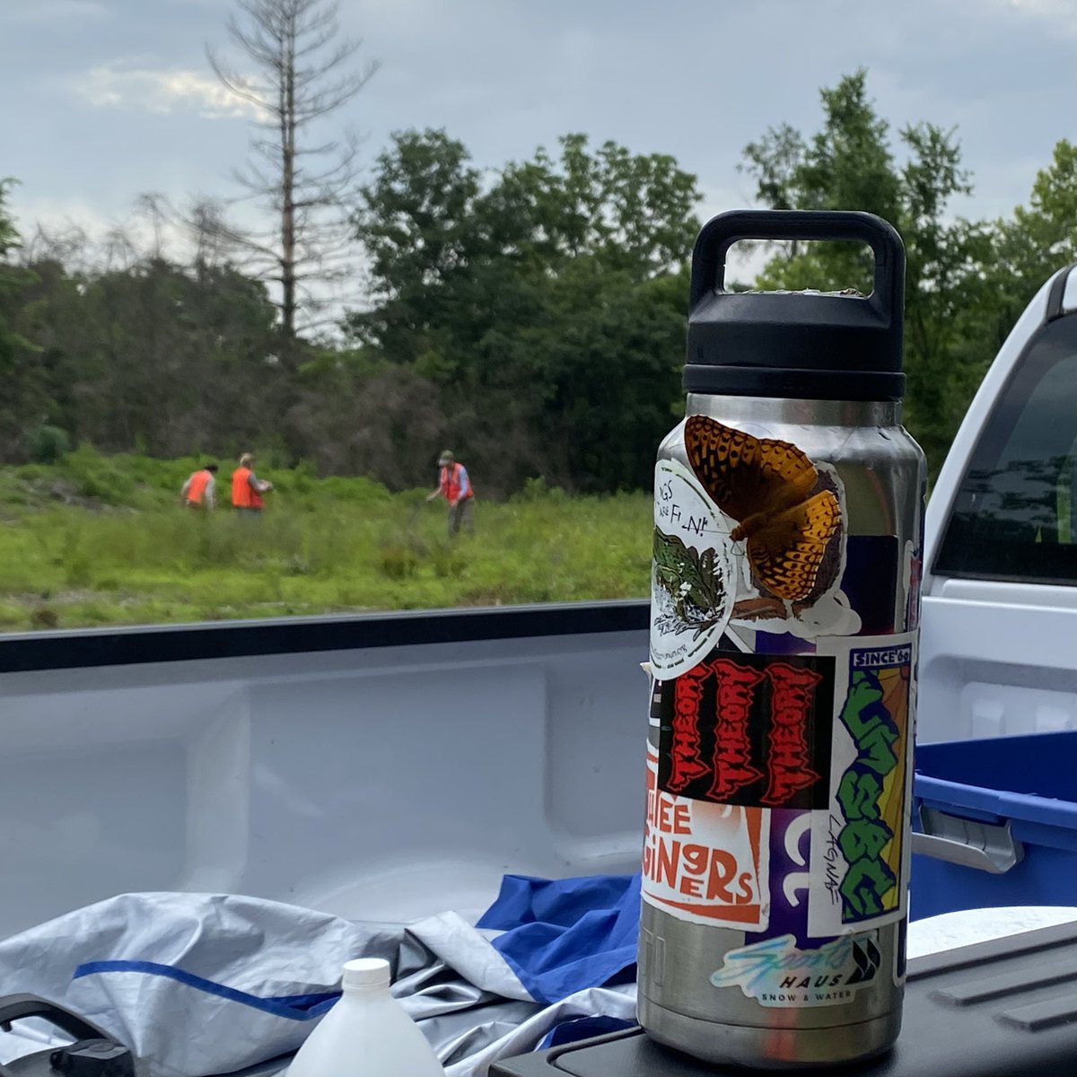 Pollinator Habitat in Log Landings (PHiLL) Project tweet media