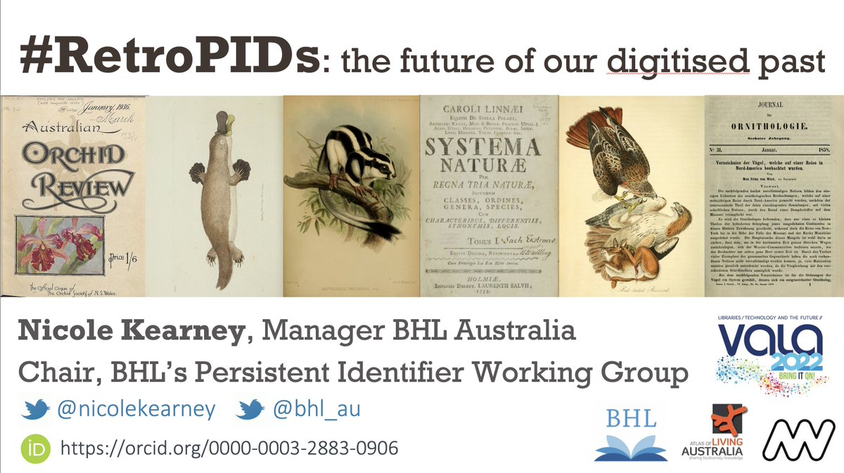 nicolekearney's tweet photo. What do seahorses, platypus & striped possums have in common? Their 1st published descriptions all have retrospectively-assigned DOIs: aka #RetroPIDs. Want to know more? I'm speaking at #VALA2022 Wed 3:10pm #s16. There'll also be orchids, #ORCIDs & even a dinosaur. @biodivlibrary https://t.co/VbbjmQMe1a