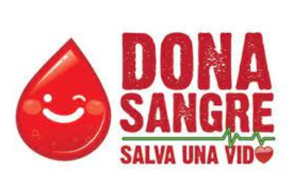 AsicLinoMaradei's tweet photo. Un gesto de amor para salvar una vida.#CubaPorLaVida #CubaViveEnSuHistoria @cubacooperaven @Cubacooperabol2 @AdanVillavicen5 @MilenaRicardoP1 @DonaisDebrosse @mailencp2022 @YulieskaAvila @Pedro30041977 @BlancoBayon @delvisverde96 @IsmaryVerdecia @SamoraJuana https://t.co/H1P84W1nGl