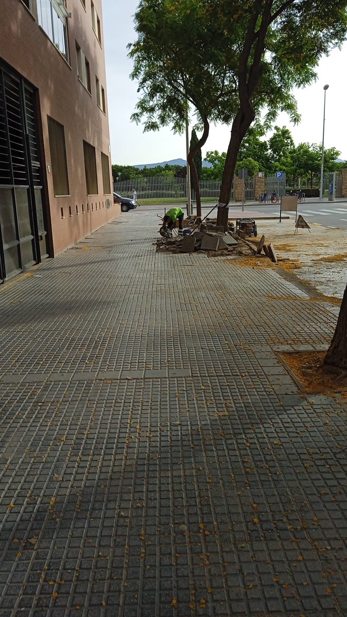Luis_Verde's tweet photo. Seguimos con los arreglos de alcorque, en esta ocasión en #ConchaLagos #ParqueLitoral
#CarreteraDeCádizNoPara @juancgiardin https://t.co/7uBClQCGGF