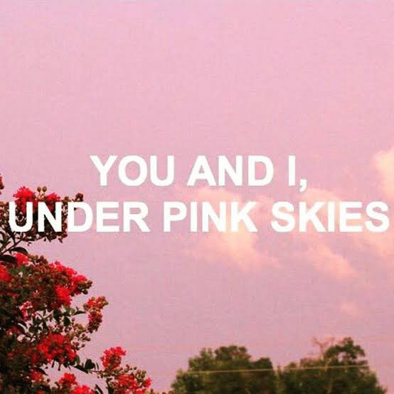 mscryptop's tweet image. Hi Crush 💛