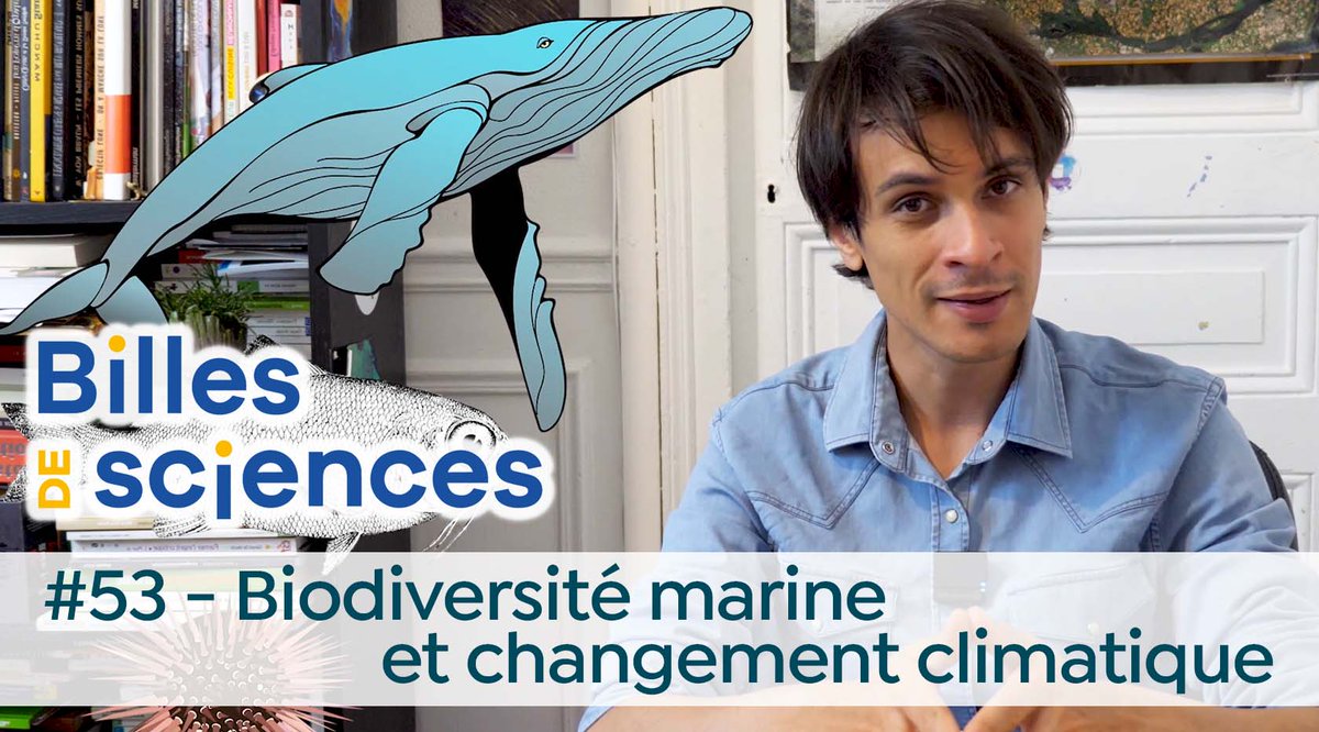 Fondation La main à la pâte tweet media