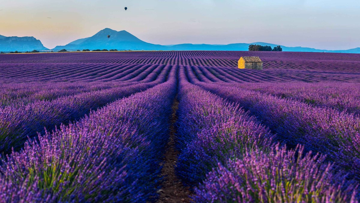 JetsetterDiary's tweet photo. #French Countryside: the most beautiful towns to visit in #France 
https://t.co/9Xia1GbCOZ
#visitfrance #Travel https://t.co/0lXT8s3Gif