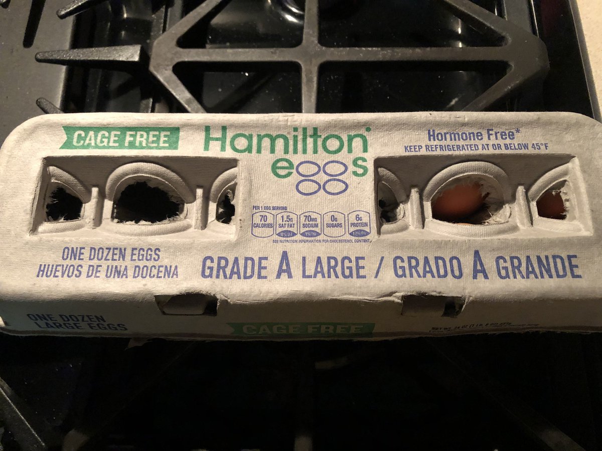 JanyceHamilton's tweet photo. Aww #Hamiltoneggs https://t.co/AVcgm2FIjf