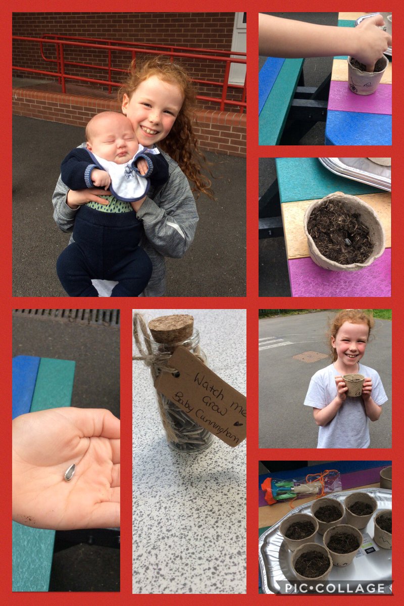 ECSTGOldham's tweet photo. Family Cunningham welcomed baby Dougie and sent year 2 some sunflower seeds to plant and grow in celebration. We planted them on Friday and canβt wait to see them grow. Thank you Dougie π #onefamily #together #shineourlight https://t.co/X2cdFcOFDq