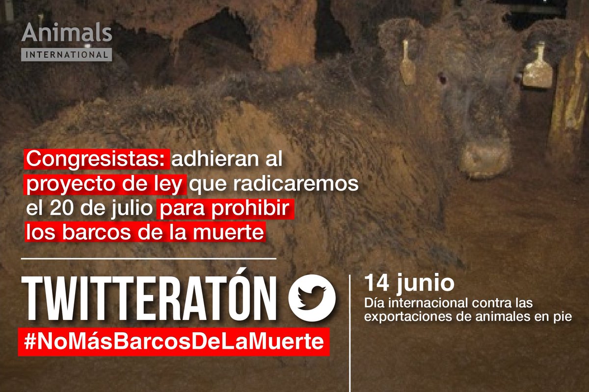 andreanimalidad's tweet photo. Ayúdanos a acabar con esta crueldad invitando a congresistas de todos los partidos a firmar el proyecto de ley que radicaremos el 20 de julio para prohibir progresivamente la exportación marítima de animales vivos #NoMásBarcosDeLaMuerte 
Hoy es el día mundial contra esta barbarie https://t.co/ubiOzcxxLE