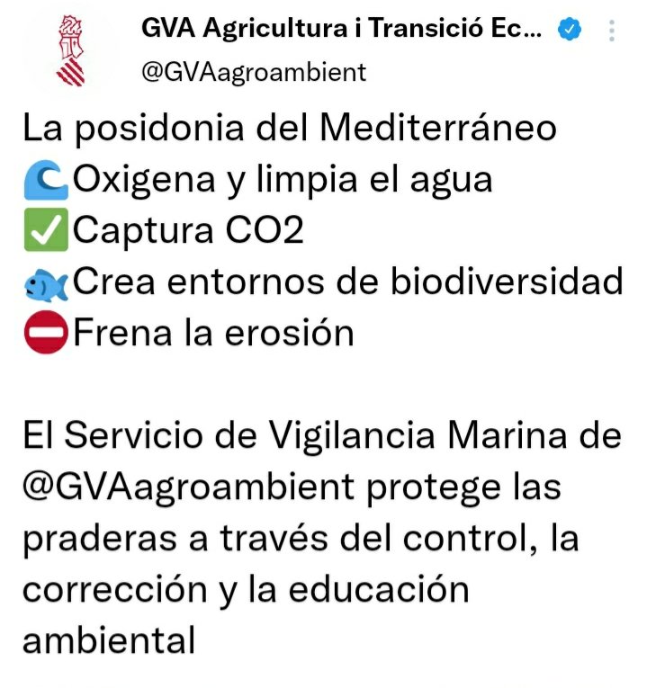 AavvSaler's tweet photo. Ahora mismo hay fondeado frente a las playas del Sur de Valencia un cascaron de 25 años de antigüedad  (Kobe Express).
@GVAagroambient ¿podéis enviar al  Servicio de Vigilancia Marina, para proteger las praderas de poseidonia, y a los valencian@s? 
@guardiacivil @APAMCV @AMGVA https://t.co/cLCMtFlGpG