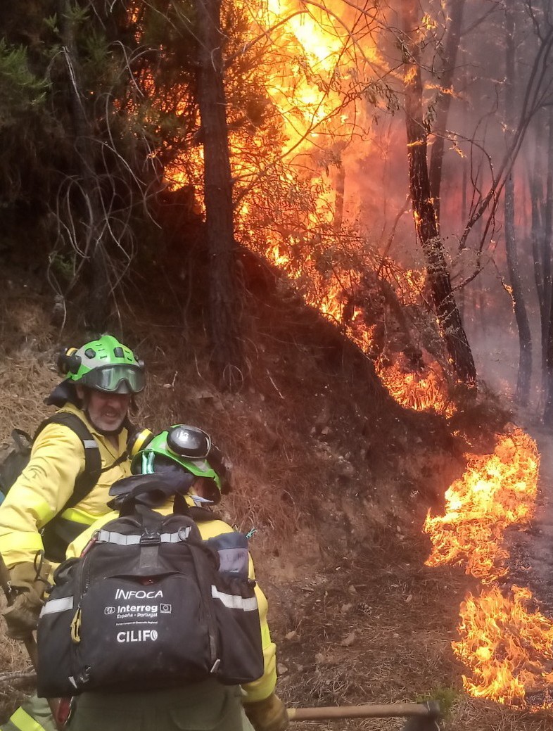 Si vas a sufrir... Sufrire contigo
BOMBEROS FORESTALES