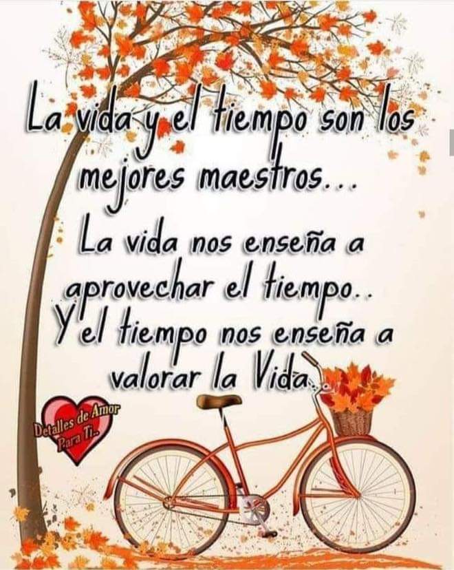 niavir1's tweet photo. Así es 👍 https://t.co/jWzPF0BALt