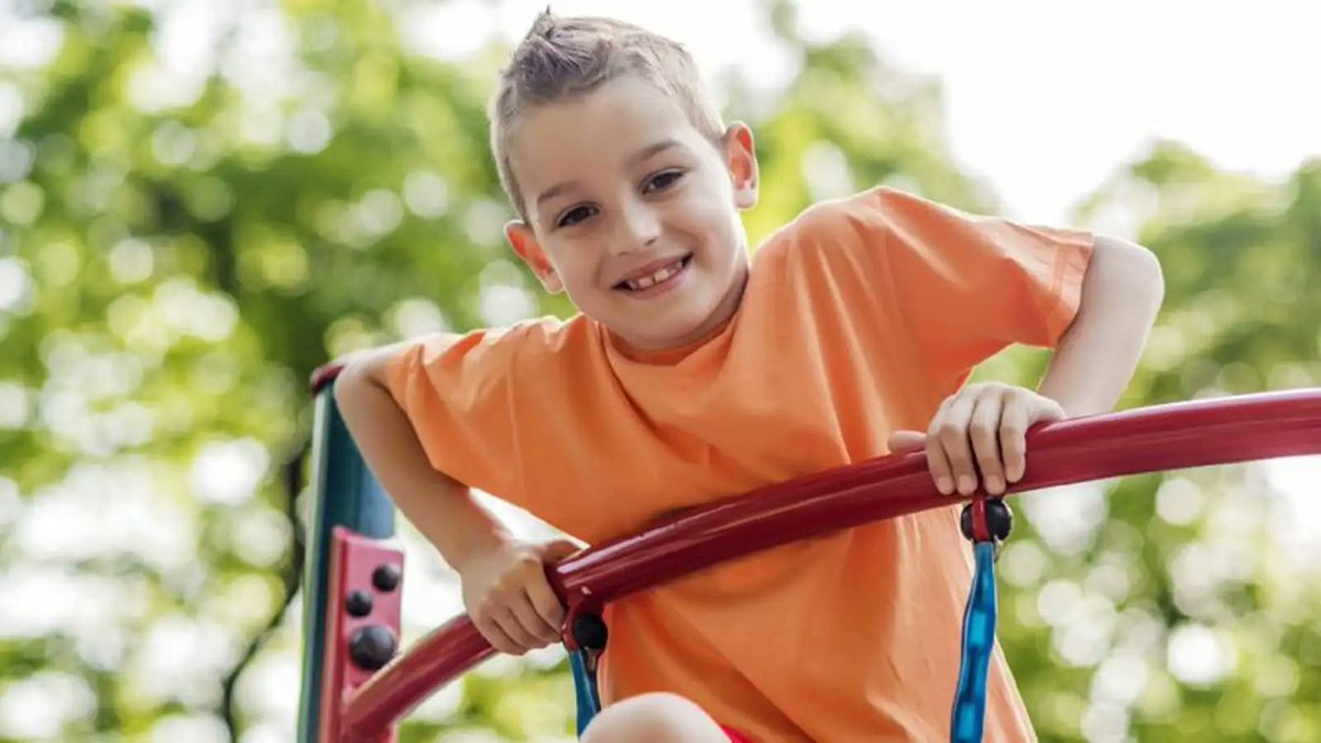 The Onion tweet media