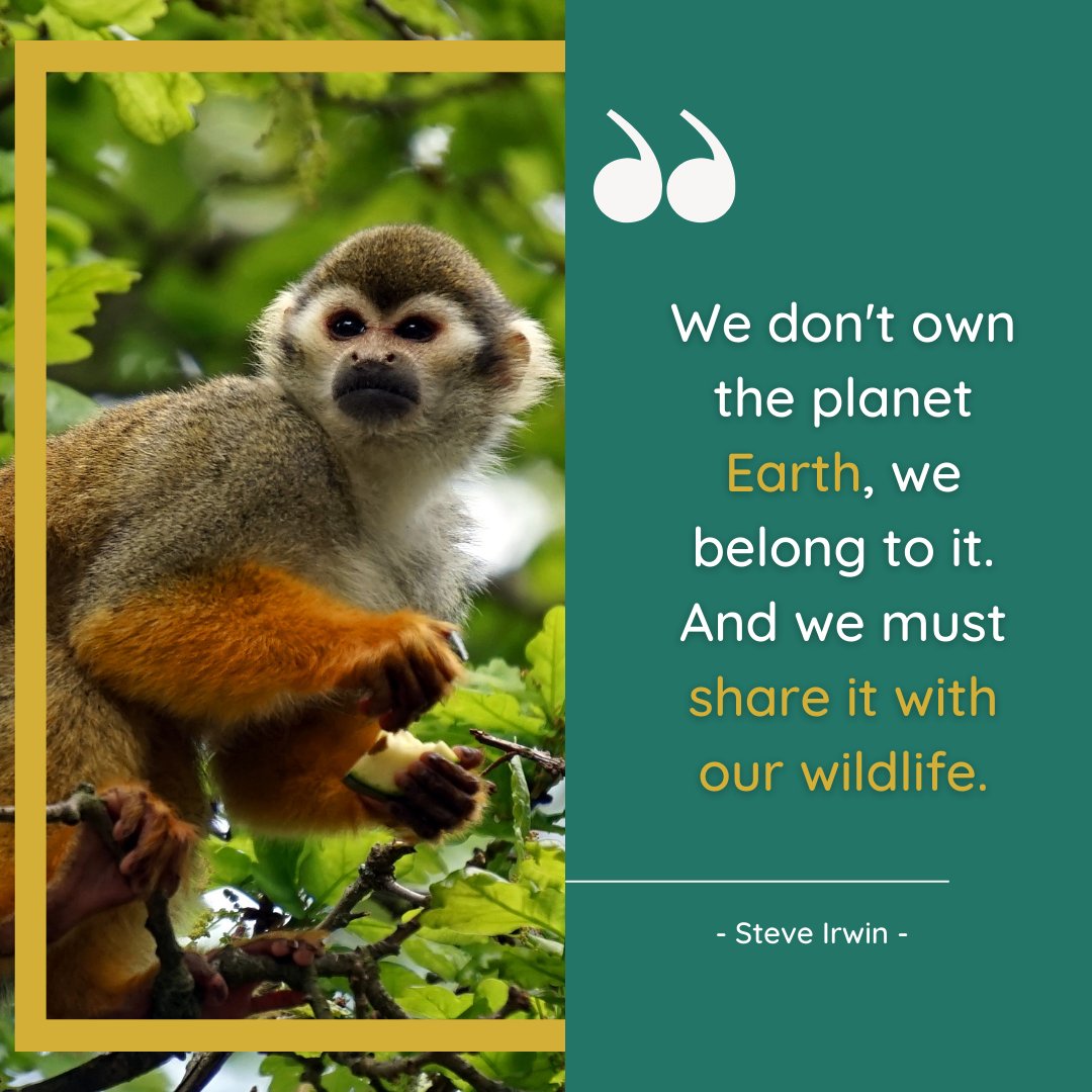 We love this quote. The whole reason for Quokka Box's existence is the need to help animals all over the world to thrive, not just try to survive - because we share our world.

#quokkabox #animalwelfare #wildlife #oneplanet