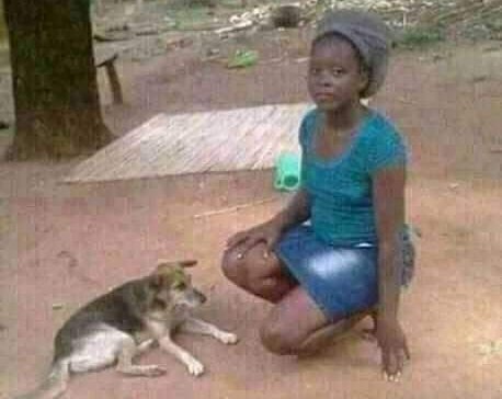 Niwe Mkweli Nimetamani kuwa iyo Mbwa hapo chini,.👇😂😂