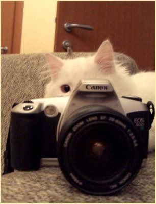 🐱📷
#강다니엘 #KANGDANIEL