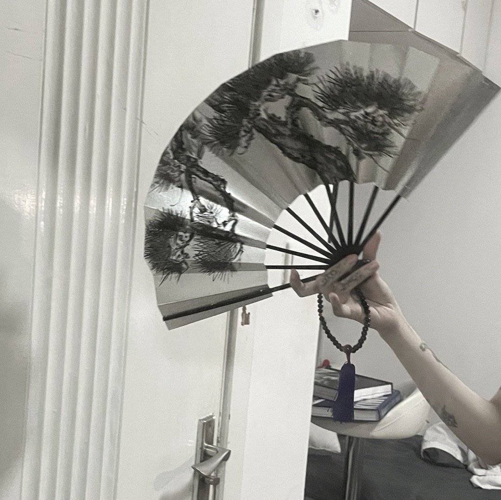 pinkymeat99's tweet image. /#fan #lowsaturation #chinesestyle