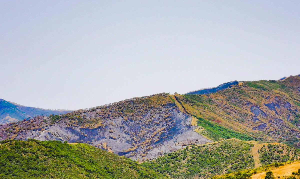 Cerrillo7Maria's tweet photo. Paisajes grises, paisajes de ceniza...
#sierrabermeja calcinada de nuevo...😔 https://t.co/rHLh5c4aPL