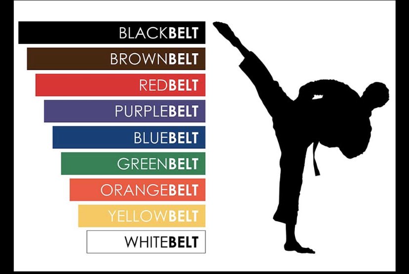 Thunderguy132's tweet photo. Karate belt levels from White to black..
#karatehouse1
#كاراتيه_هاوس https://t.co/onkNrAL21w
