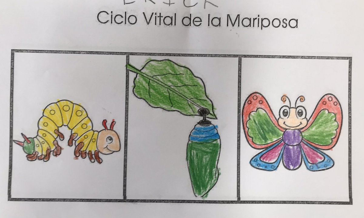 Trabajando en infantil #CEIpMaestroFelix las maravillas de la creación con la Mariposa monarca. <a href="/Erecanarias/">Delegación de Enseñanza - Diócesis de Canarias</a>
