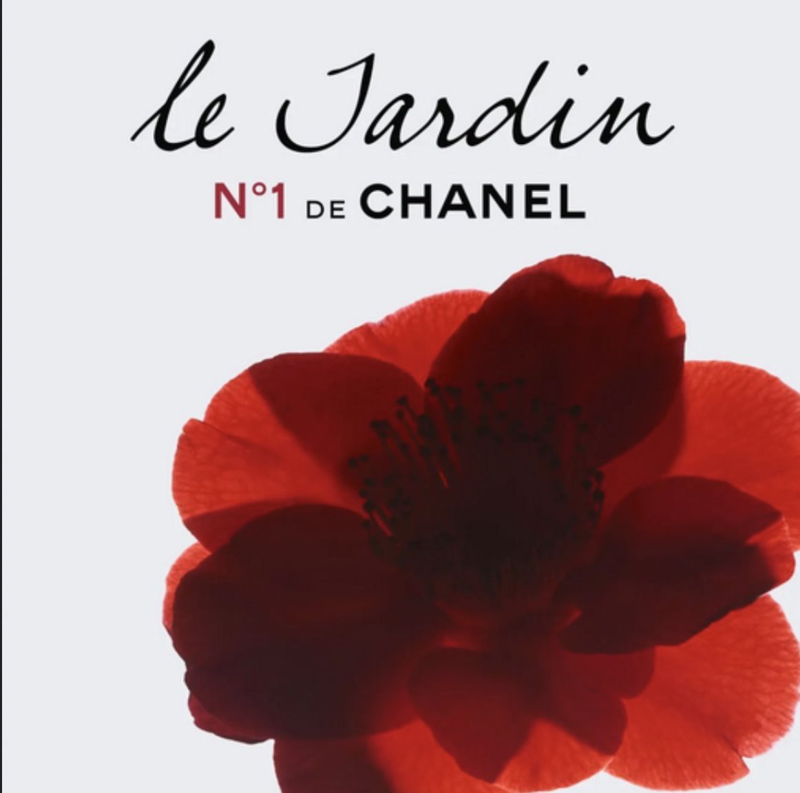The_Social_Wire's tweet photo. WHY ARE LUXURY GARDENS ‘A LA FRANCAISE’ TRENDING?
NO, THEY AREN’T IN THE #METAVERSE! https://t.co/COz1MupE9s https://t.co/WN8raLwWt5