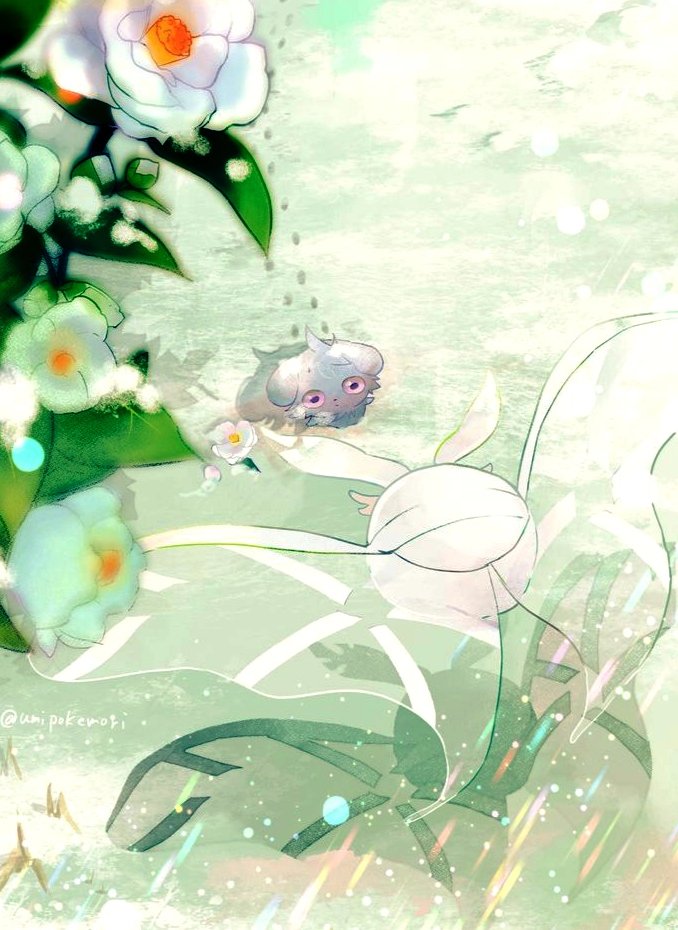 pokemon (creature) no humans flower white flower outdoors twitter username water general  illustration images