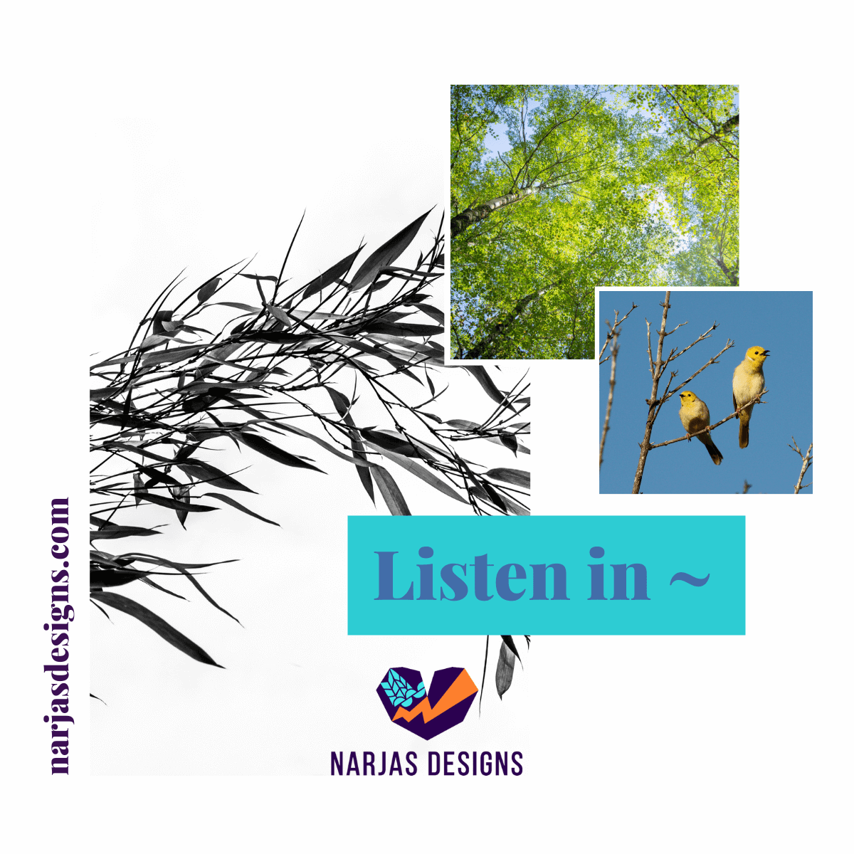 Narjas Windo (inactive) tweet media