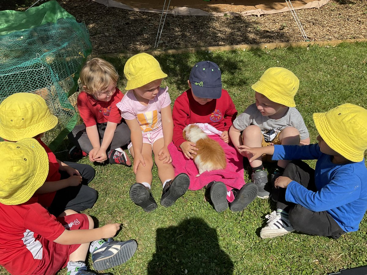 Bertie cuddles 🥰<a href="/CoganPrimary/">CoganPrimary</a> <a href="/SchoolHealthVoG/">Healthy Schools Vale</a> <a href="/EcoSchoolsWales/">Eco-Schools Wales</a> <a href="/EggSeeds/">EggSeeds</a>