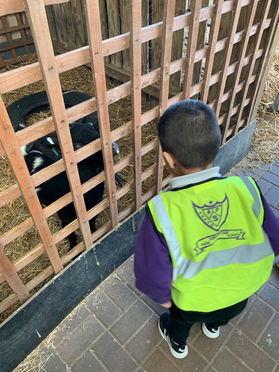 MrsAnwar8's tweet photo. @AndertonPark Look! At the greedy goats waiting to be fed. https://t.co/56O6Xb0FpR