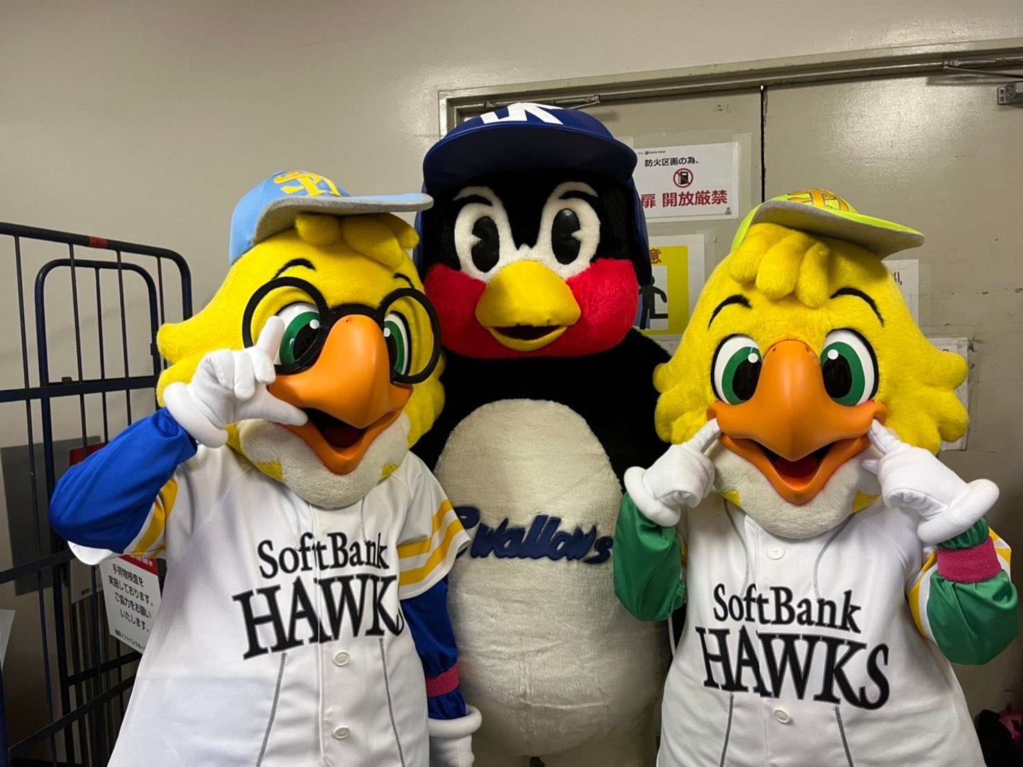 Follow ハリーホーク 公式 S Hawksharry Latest Tweets Twitter