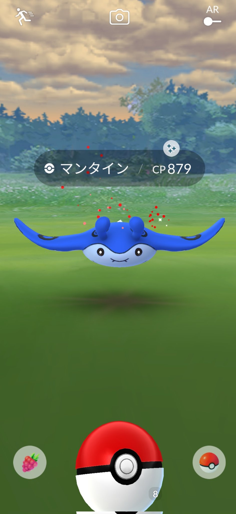 りん 終了２分前に出た 初マンタイン色違い もうダメだと諦めムードだったのに ポケモンgo T Co 5oj5uavg Twitter