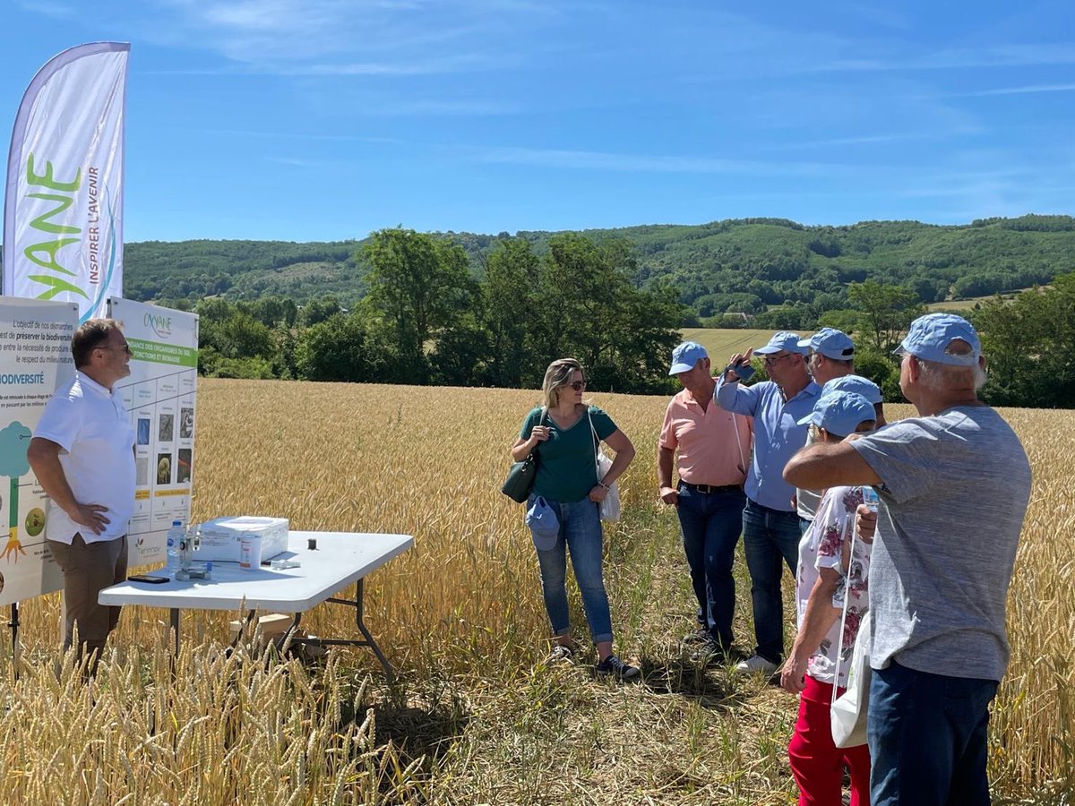 GroupeOxyane's tweet photo. Aujourd’hui, sur nos parcelles d’expérimentation, on reçoit un groupe de boulangers des @GdsMoulinsParis
4 ateliers
✅découverte des différentes variétés de blé en test
✅structure du sol et enjeux carbone
✅biodiversité
✅#PrioriTerre https://t.co/PHRySxXMpd