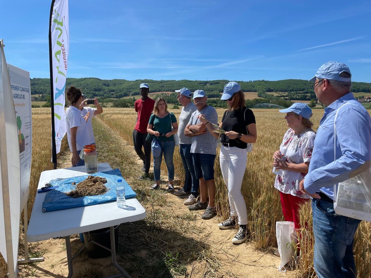 GroupeOxyane's tweet photo. Aujourd’hui, sur nos parcelles d’expérimentation, on reçoit un groupe de boulangers des @GdsMoulinsParis
4 ateliers
✅découverte des différentes variétés de blé en test
✅structure du sol et enjeux carbone
✅biodiversité
✅#PrioriTerre https://t.co/PHRySxXMpd
