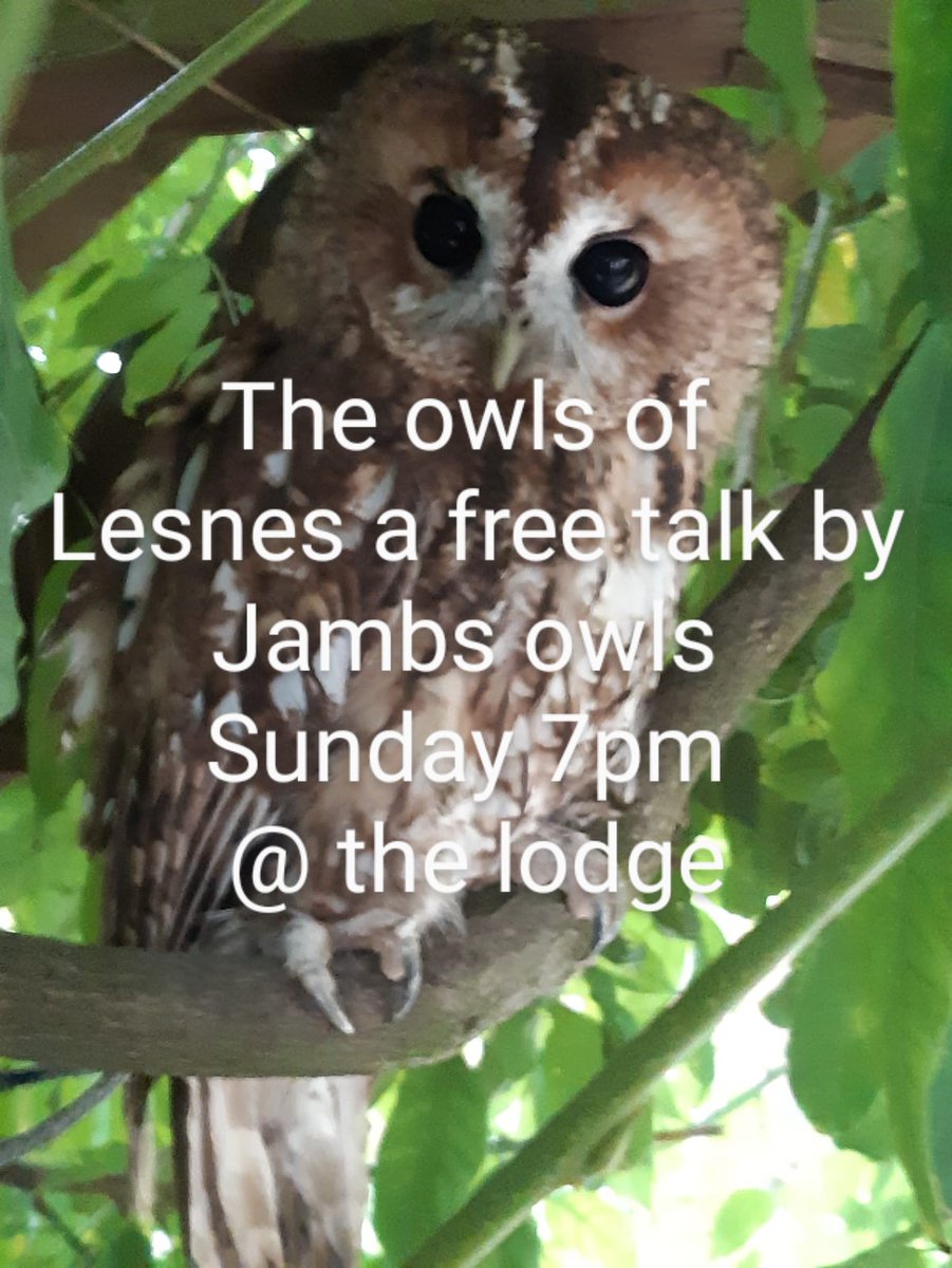 LesnesAbbeyFriends tweet media