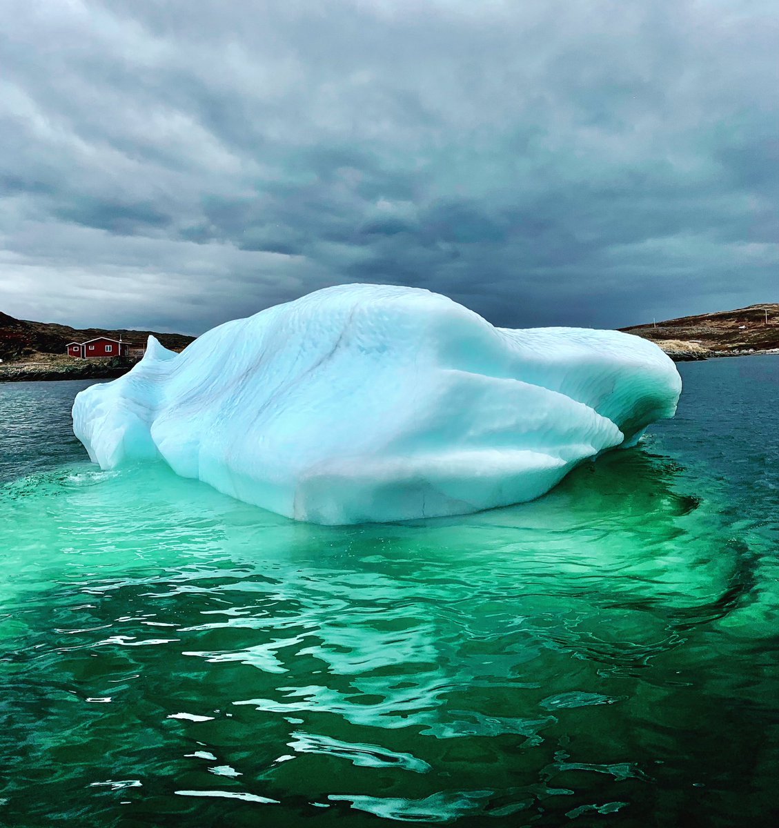 Some experiences stay with you. Driving home from the Great Northern Peninsula I let all the experiences of this past weekend settle into memory. Quirpon Island #NewfoundlandandLabrador #ShareYourWeather #NLwx #ExploreNL @gowesternnl <a href="/ExploreNL/">Explore Newfoundland</a> <a href="/IcebergTweets/">IcebergFinder.com</a>