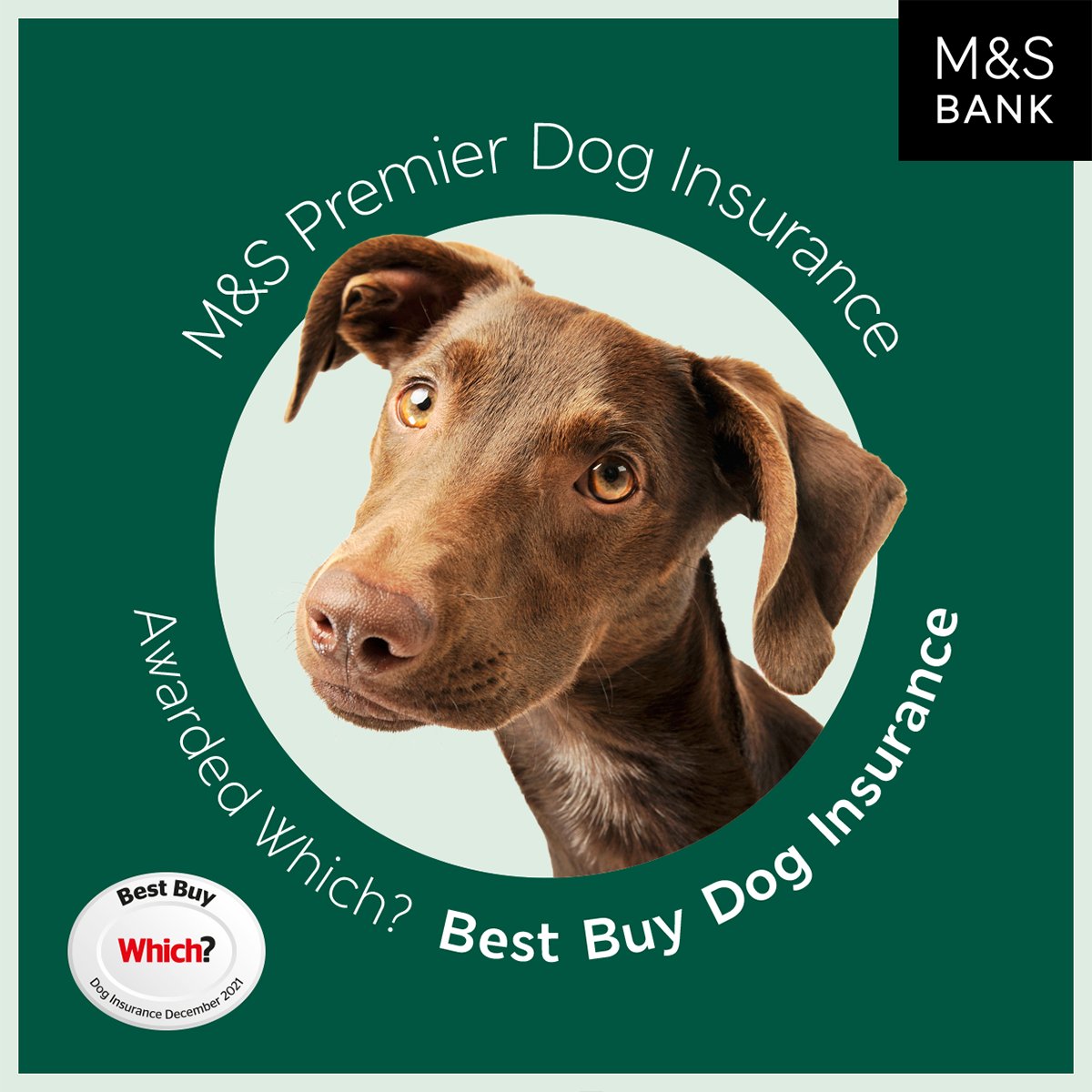 We’re feeling paws-itively pawsome 🐾 <a href="/WhichUK/">Which?</a> has awarded our Premier Cat and Dog Insurance with the Which? Best Buy 🥳🏅Find out more: mandsbank.hsbc/Pet