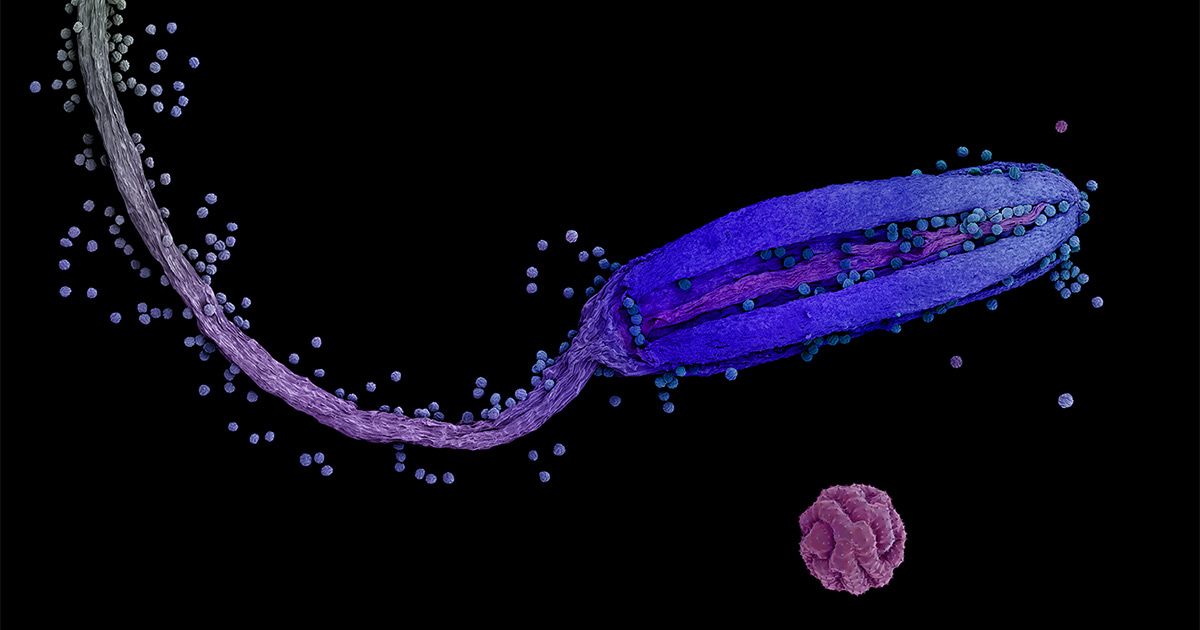 maximaxoo's tweet image. #Science #Art: colored #micrographs magnify #pollen seeds, plant cells, and leaf structures in photographs by Rob Kesseler
thisiscolossal.com/2019/12/rob-ke… via @Colossal