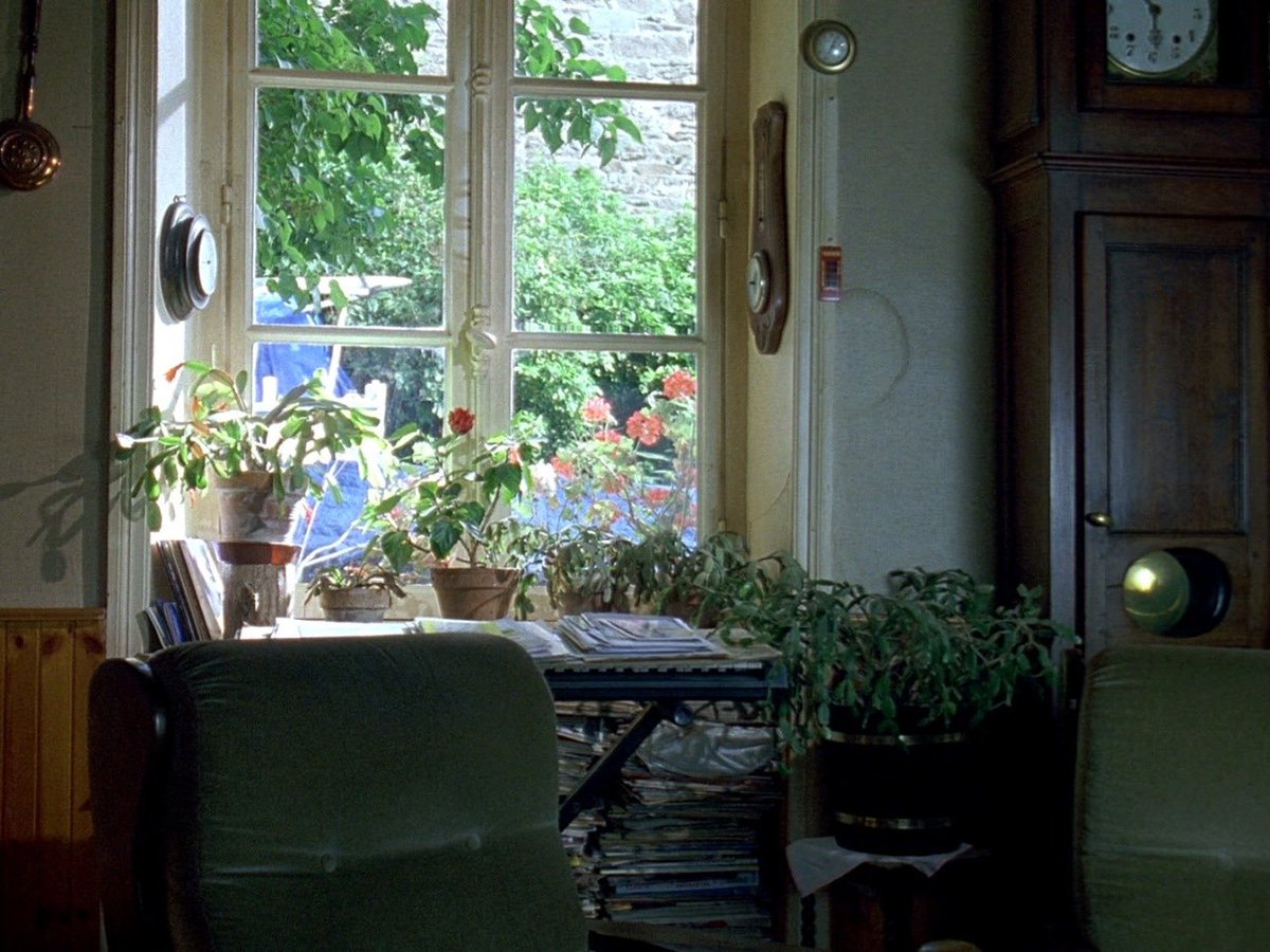 Lost In Film tweet media