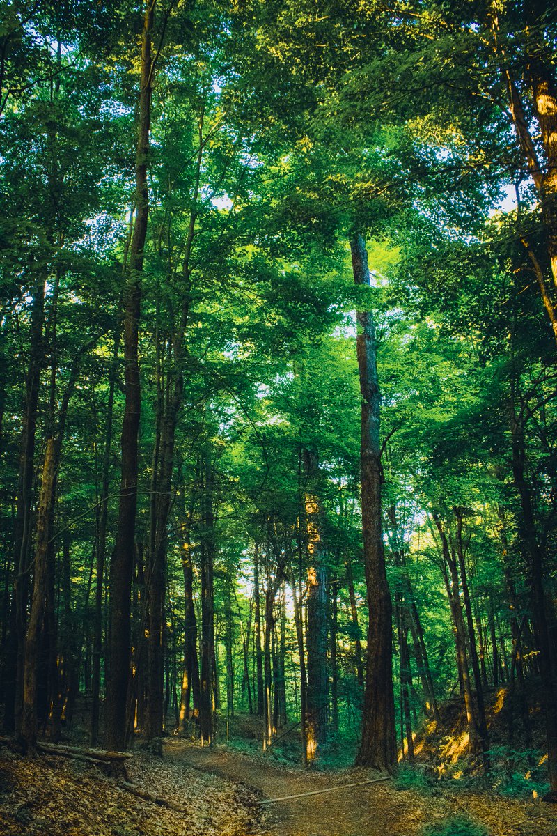 RebelStudios6's tweet photo. Some more treasures from this morning's work.
#PHOTOS #CanonEF #cameradude #art #image #NaturePhotography #NatureIsCalling #Canon #photography #PhotographyRedefined #lightroom https://t.co/jo6WHDOgtV