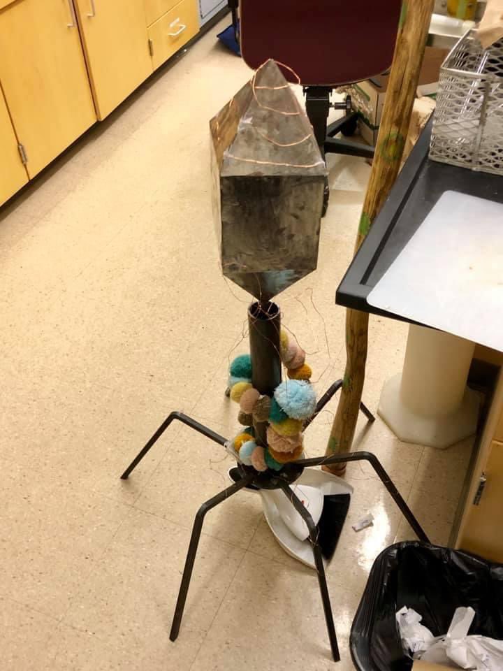 markowenmartin's tweet photo. Then there was that time a first year #Bio111 student at the @univpugetsound made me this for an extra credit creative project. It weighs like 40 pounds. #AmazingStudents @ASMicrobiology #StudentCreativity https://t.co/2gu1aABv9B