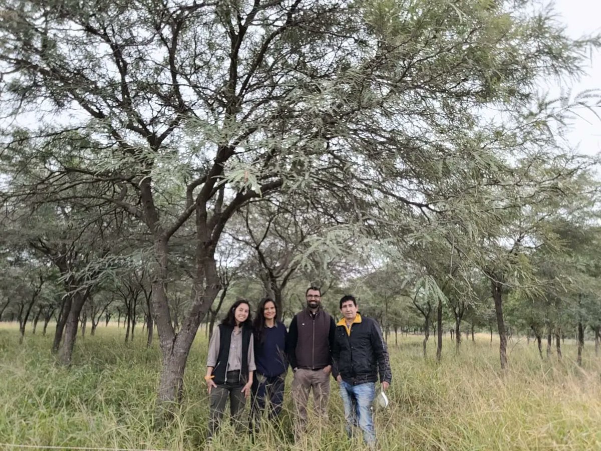 CertifYCompe's tweet photo. El día 8 de junio, una comisión técnica producto de la articulación interinstitucional entre la Dirección de #CertificacionYCompetitividad del Chaco, @CEDETEMA1 y la Dirección Nacional de Desarrollo Foresto-industrial @agriculturaar, visitamos  el predio de Miguel Cardozo. https://t.co/uI9SuvF9iJ