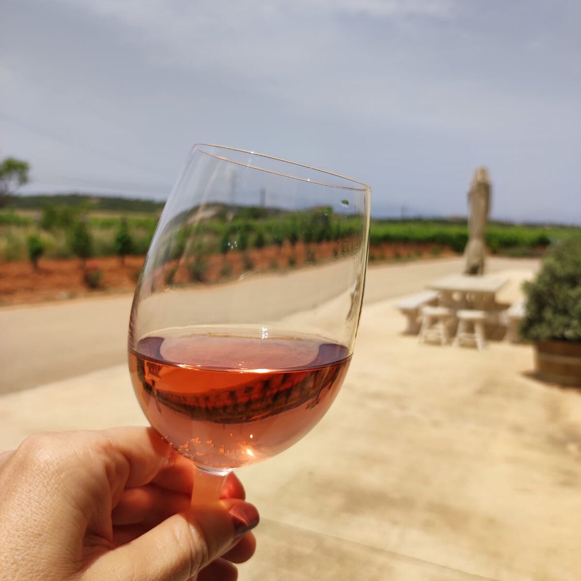 #Winetime! 
#mallorcawine #mallorca #winery #wine #rosewine