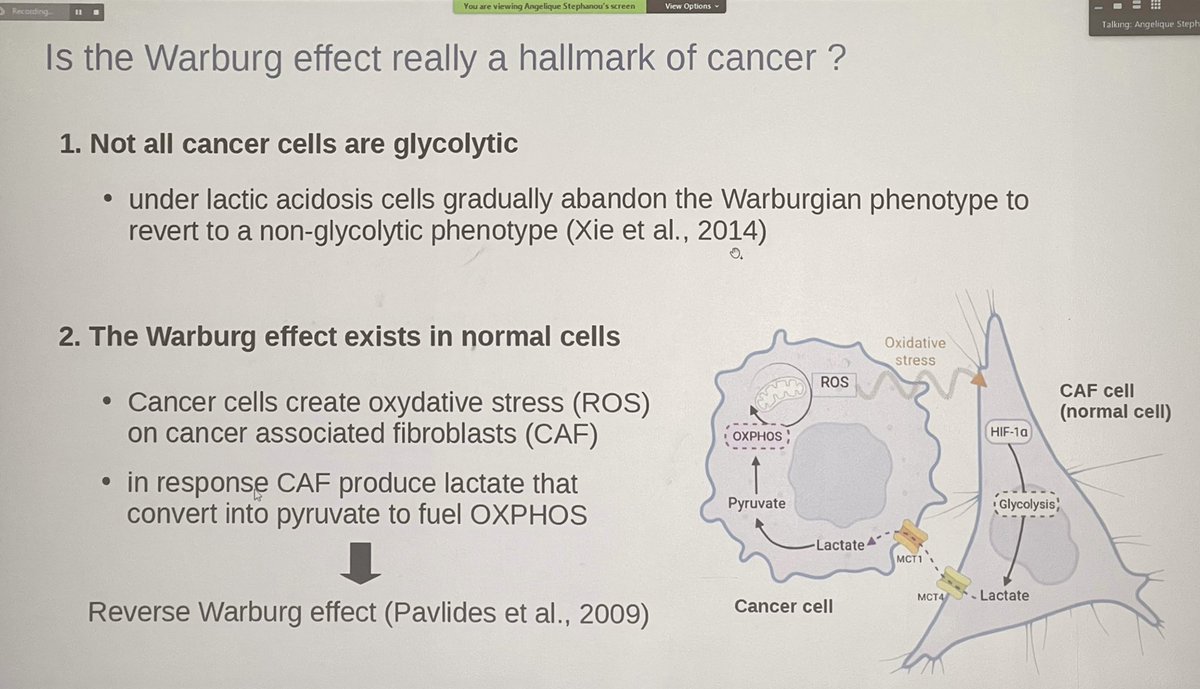 ara_anderson's tweet photo. Next up is past collaborator & friend Angelique Stephanou presenting, Investigation of the metabolic heterogeneity in
tumour spheroids with hybrid multi-scale models #SWAMBA22 https://t.co/LhXFkQ0R8W