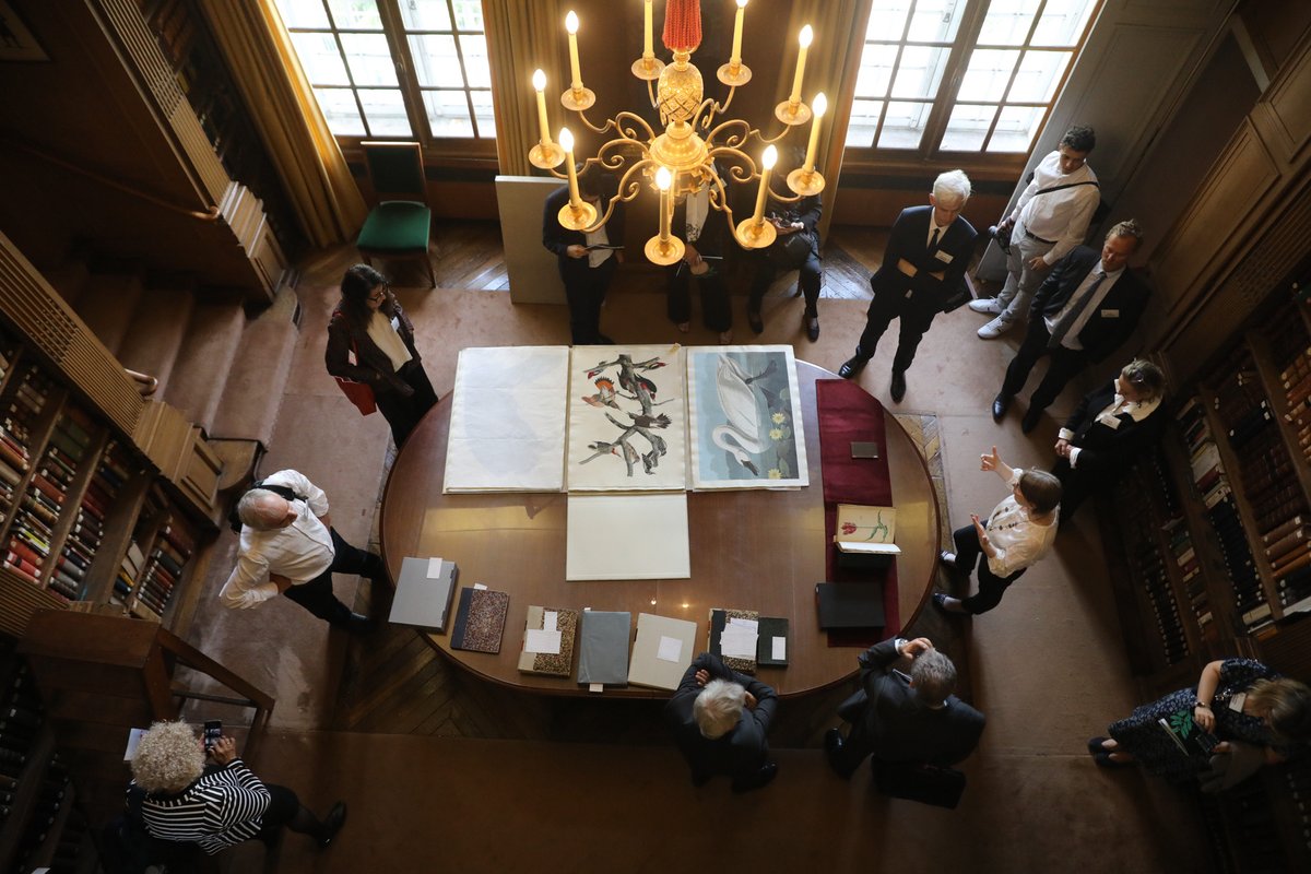 🌿Dans nos coulisses | Au cours d'une visite du palais de l'<a href="/InstitutFrance/">Institut de France</a>, nos nouveaux associés étrangers découvrent les collections de documents rares conservées par <a href="/Bibli_Institut/">Bibliothèque de l'Institut de France</a>.
Plus que quelques heures avant la cérémonie !
Photo <a href="/cassanas/">Simon Cassanas Photo</a>
CC <a href="/NietoAngela/">Angela Nieto</a> @A_Nicole_King