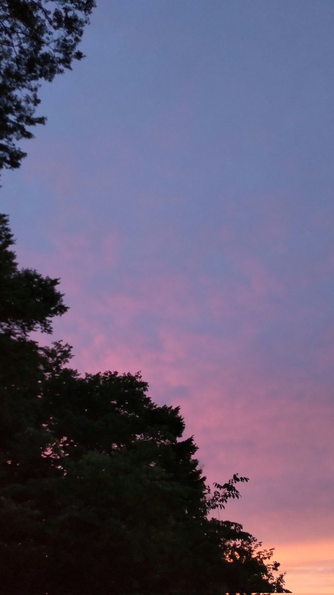 hEDwBfDIHsFNHHt's tweet photo. 夕方の空
なんて綺麗なんだ〜✨
今はスマホ大丈夫！ https://t.co/QNuy9jwAEH