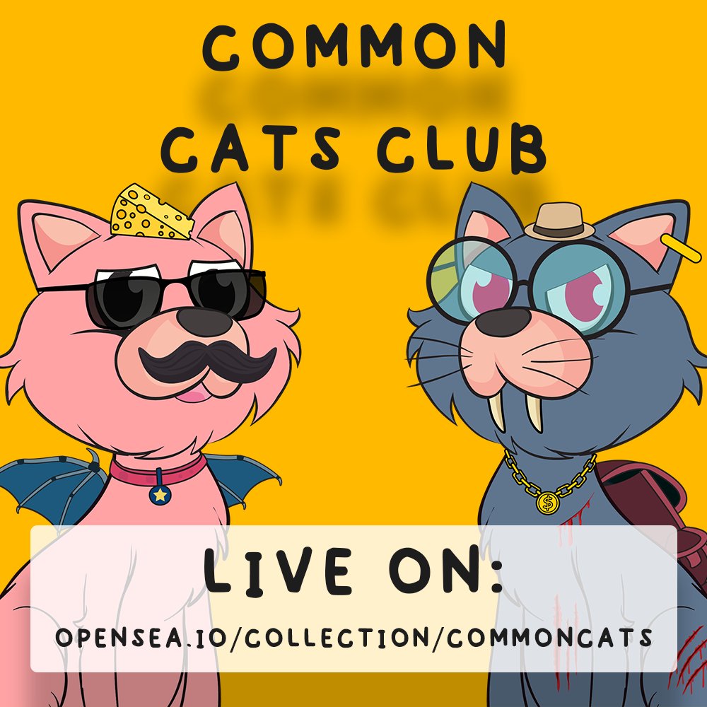 Common Cats Club tweet media