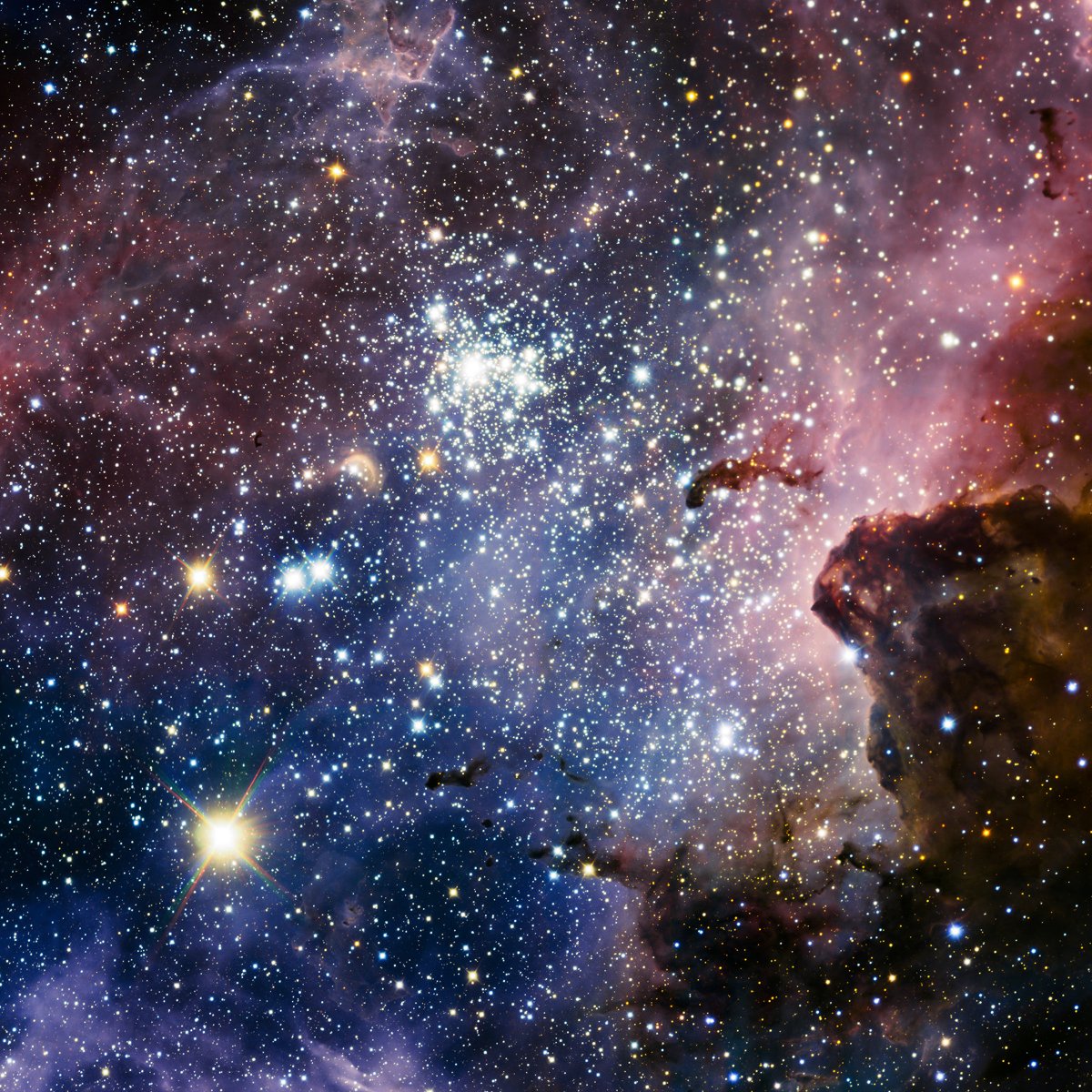 TezosFarmation's tweet image. Added "stars" background artifact on Github
Let's wish upon all of them... we need it
Use anything there to produce your own collection
github.com/TezosFarmation…
We will be releasing 1 background each day for the rest of the month
#TFNFT #CleanNFT #tezos #NFTArtist #NFTCollectors