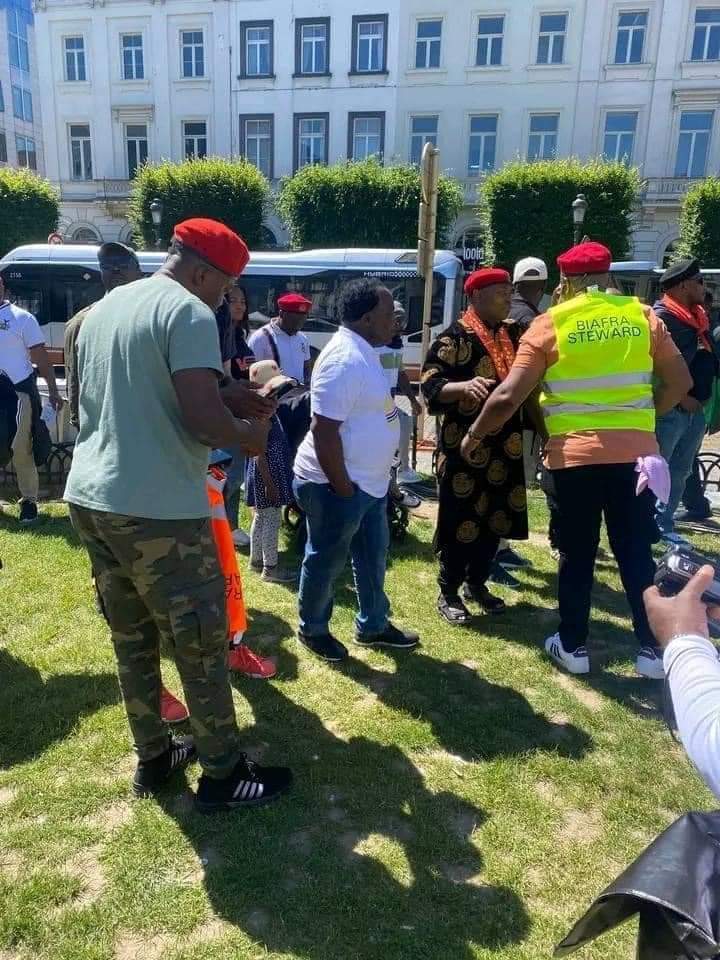 Oluchi System tweet media