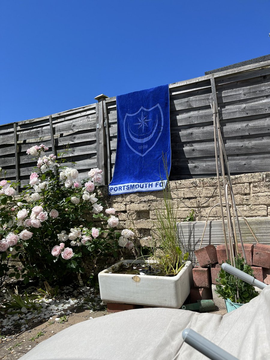 Paul Argyle tweet media