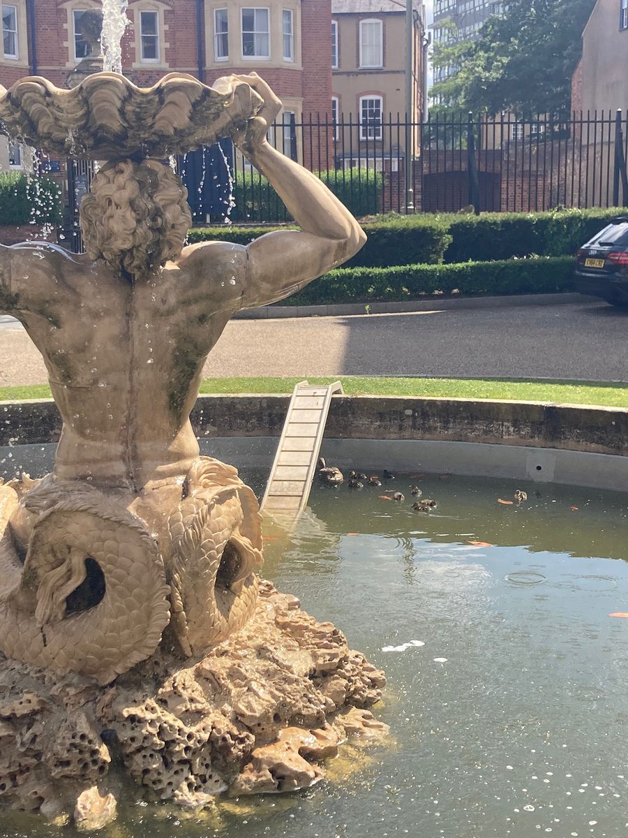 OxQuackademics's tweet photo. Stop everything! We’ve had a ducklings sighting reported!! 🦆🐥🐥🐥🐥🐥🐥🐥 https://t.co/A1LIMyJfZZ