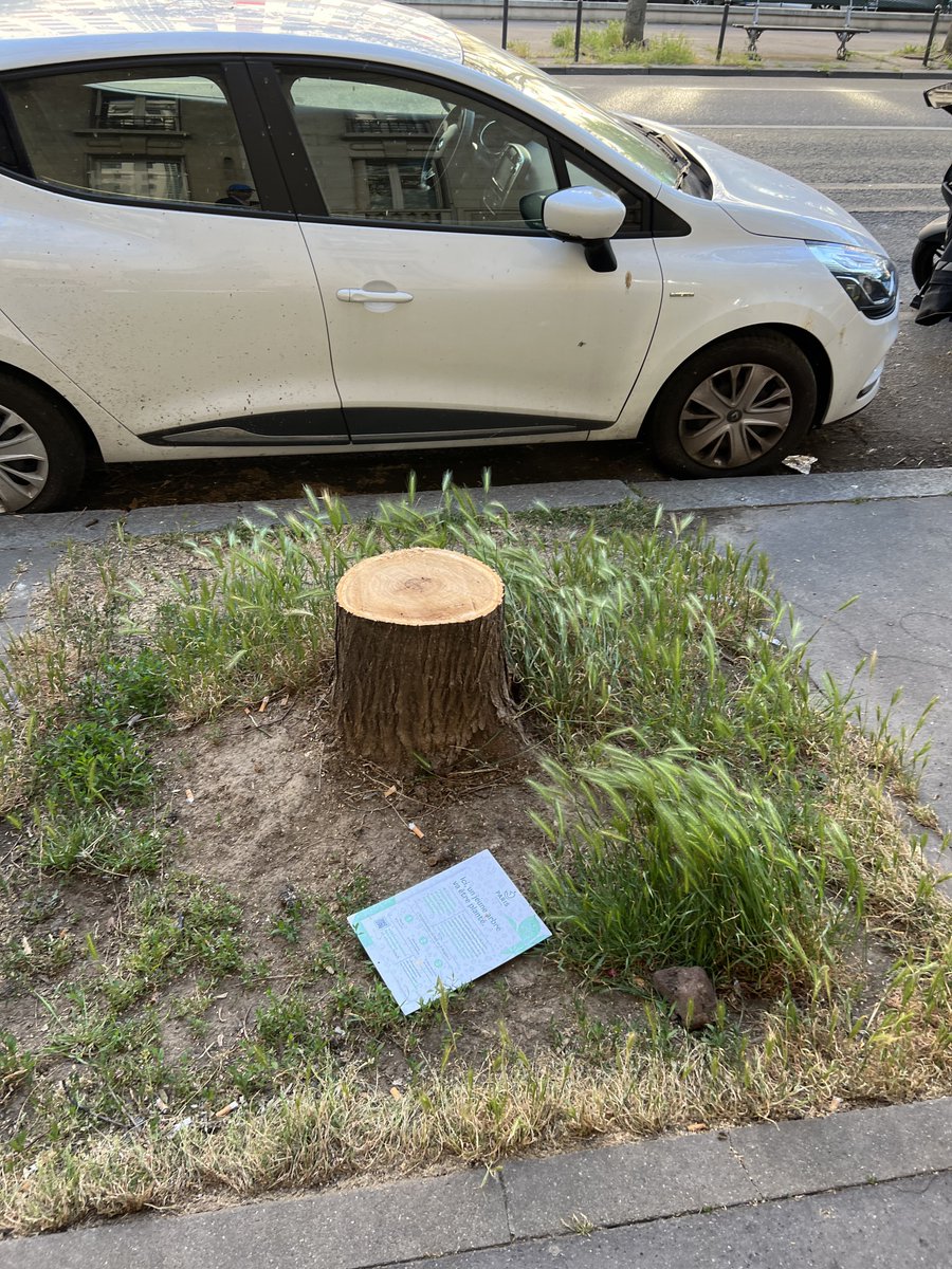 MatouEcureuil's tweet photo. Comment ça se combine avec l’abattage systématique des arbres à Paris ? #saccageparis https://t.co/uUm1Qw3N1e